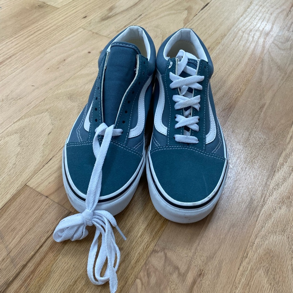Vans classics skate shoe